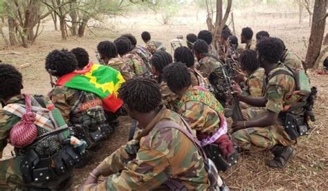 Ethiopia Oromo Liberation Army Expressed Its “unwavering Commitment
