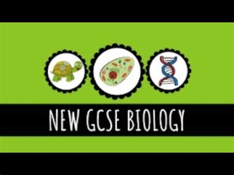 Check spelling or type a new query. Specialisation in Plant Cells: Photosynthetic, Xylem ...