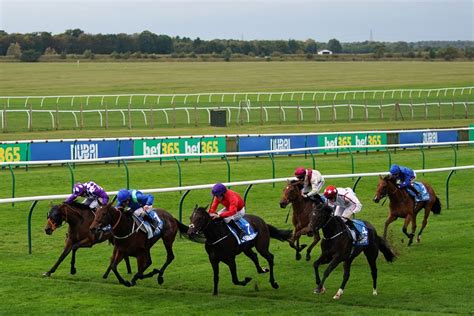 Newmarket Races Tips Racecards Odds Runners And Best Bets For Day 1