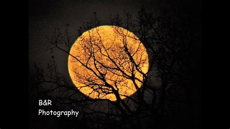 Photos Harvest Moon Just In Time For Halloween