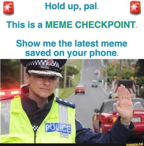 Hold Up Pal This Is A Meme Checkpoint Show Me The Latest Meme Saved