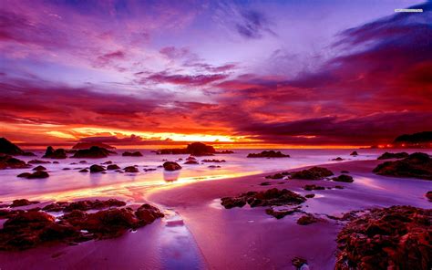 Purple Sunset On Rocky Beach Wallpaper Nature And Landscape