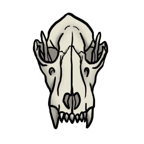 Wolf Skull By The Benandanti On Deviantart