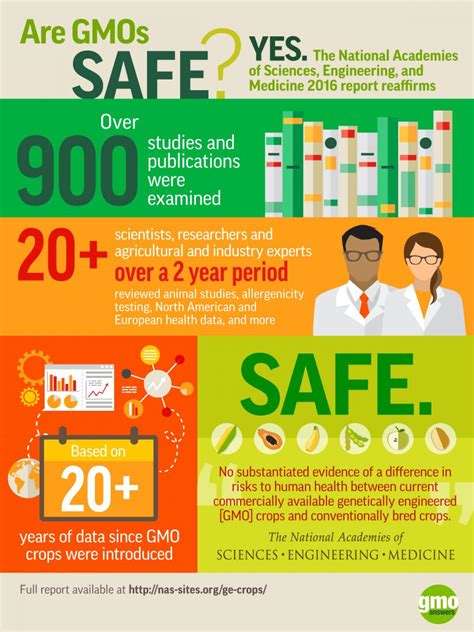 Gmo Safety Study Made Simple Infographic Food Industry Executive