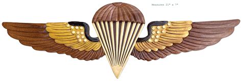 Navy And Marine Corps Parachutist Insignia Jump Wings Etsy