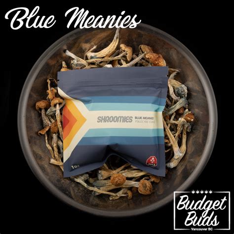 Blue Meanies Magic Mushrooms 1oz By Shroomies Budget Buds