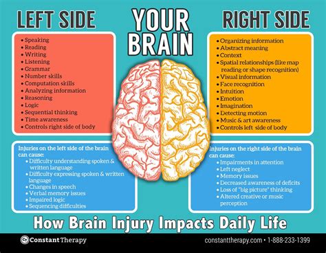 Right brain vs Left brain | Brain injury awareness, Brain 
