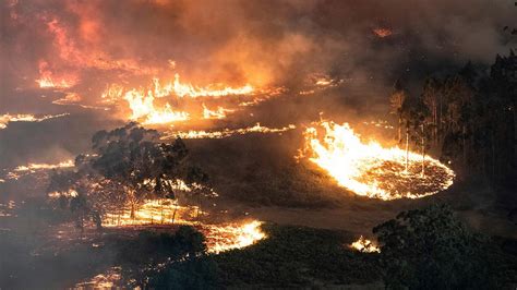 Effects From Australian Bushfires Felt All Over As Smoke Lingers Over