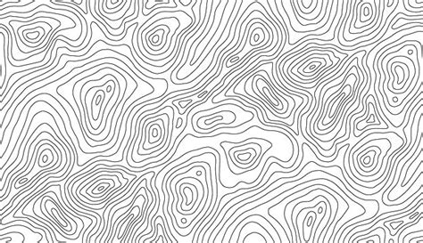 Seamless Vector Topographic Map Background White Pattern Topo