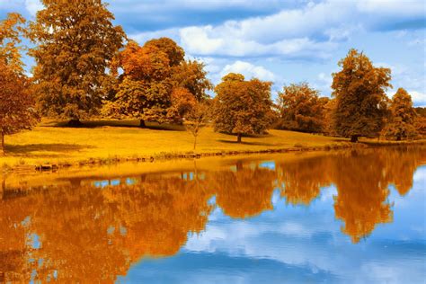 Brown Tree Reflection Fall Lake Landscape Hd Wallpaper Wallpaper