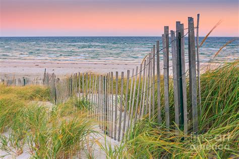 Sand Dune Fences Cape Cod Photograph By Henk Meijer Photography