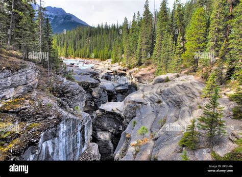 Mistaya Canyon Banff National Park Alta Canada Stock Photo Alamy