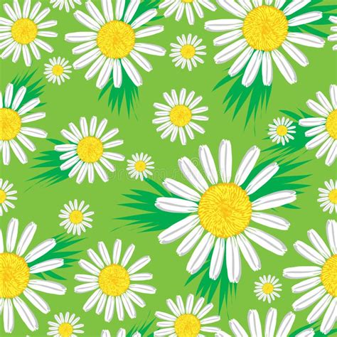 Cute Floral Seamless Pattern Stock Vector Illustration Of Decoration