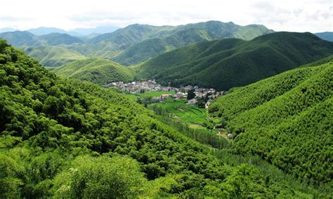 Where To Visit The Bamboo Forests In China Expats Holidays