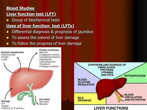 Webmd's liver anatomy page provides detailed images, definitions, and information about the liver. PPT - Blood Studies Liver function test (LFT) Group of ...