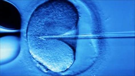 Ivf Risks May Outweigh Benefits For Some Couples Say Experts Bbc News