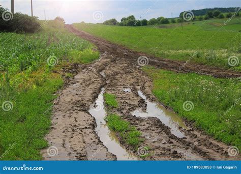 Wet Dirt Road Leading To The Village After Rain Toned Background Stock