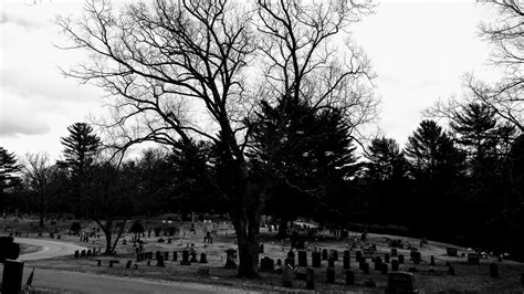 swforester “ scenes from quabbin park cemetery this cemetery was created in 1932 because of