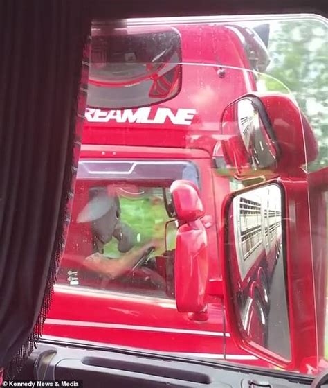 Dumbo Drivers Trucker Films His Mate Wearing A Fancy Dress Elephant Head At The Wheel While