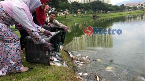 Malaysia 4k morning run a round at taman tasik danau kota setapak kl youtube mohd faiz bin abdul manan taman tasik danau kota danau kota lake loop kuala lumpur malaysia alltrails mohd faiz bin abdul manan taman tasik danau kota lake city lake walk trail kuala lumpur malaysia pacer. Taman Tasik Danau Kota lokasi baharu JPKL | Harian Metro