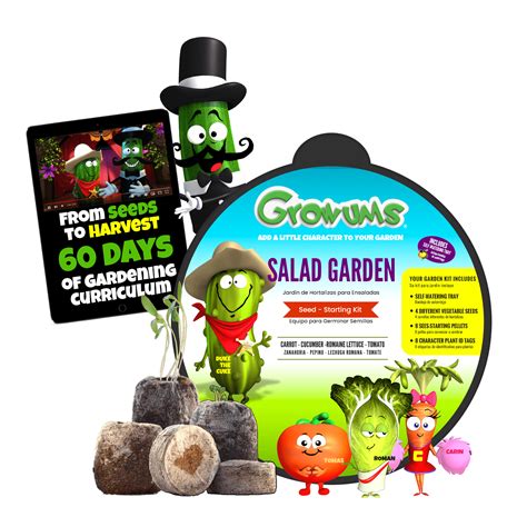 Salad Garden Kit Kit Vegetable Garden Kit Kids Garden Kit Stem