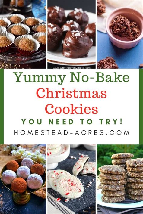 From gingerbread to sugar although they should be stored in the refrigerator, they're best served after sitting at room temperature for about 5 minutes. 25 No-Bake Christmas Cookies (Easy Christmas Treats ...