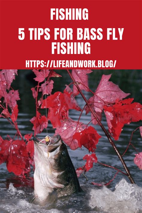 5 Tips For Bass Fly Fishing