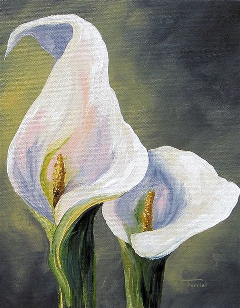 Claudia S Calla Lilies Painting By Torrie Smiley