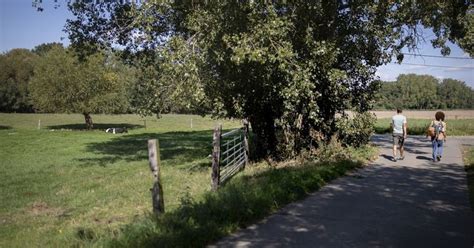 De Mooiste Wandelplekken In Vlaanderen Wandelen Cultuur Wandelroutes