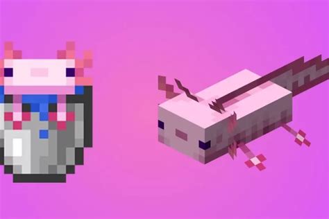 Cara Menjinakkan Axolotl Di Minecraft 120 Diorama