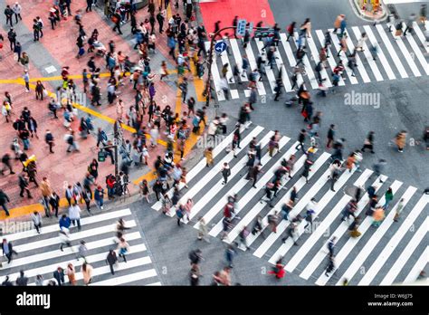 Shibuya Crossing Crowds At Intersection Many Pedestrians Cross Zebra