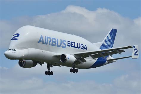 Cargo aircraft rental - AIRBUS A300-600ST BELUGA - AEROAFFAIRES