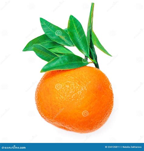 Tangerine Or Clementine Oranges Fruits With Green Leaf Isolated On