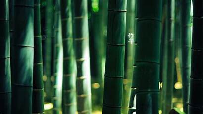 Bamboo Wallpapers Desktop Pixelstalk Zen