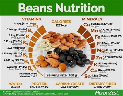 vitamins and minerals role in the body lard vitamins and minerals nutrition liquid vitamins