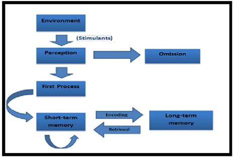 Information Processing Theory Tac U 2012 Download Scientific Diagram