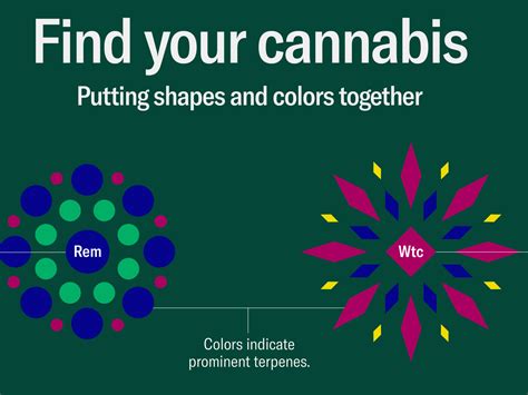 ‘leafly Cannabis Guide Uses Data And Design To Help People Better