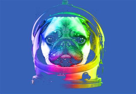 Astronaut Pug T Shirt By Clingcling Design By Humans