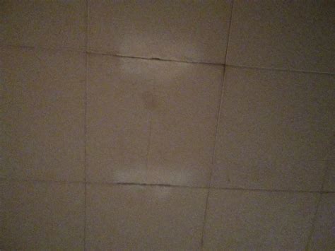 For small holes, you can get away with a spot ceiling repair job: How do I repair a drop ceiling? | Hometalk