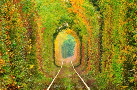 Tunnel Of Love Romania Coordinates Tunnel Of Love Beautiful Streets