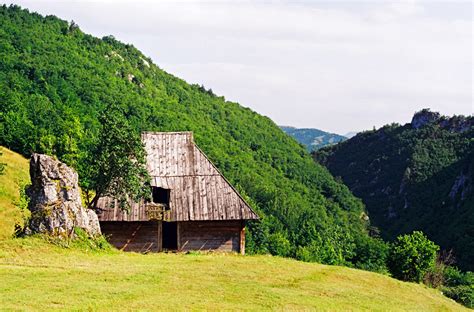 Park Prirode Zlatibor Parkovi Dinarida