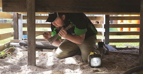 $1,000,000 indemnity insurance for your. Termite Inspections | Timber Pest Inspections | Envirapest