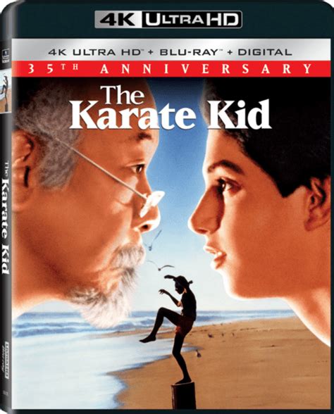 However viewers of the 'karate kid' get to learn a valuable lesson for life out of this story, that fighting is a waste of time, and with time and patience. The Karate Kid 4K 1984 Ultra HD 2160p - 4К-MOVIES.BIZ