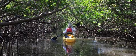 Kayak Trails At St Lucie Inlet Florida State Parks