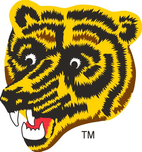 Boston Bruins Alternate Logo - National Hockey League (NHL ... Download as svg vector, transparent png, eps or psd.