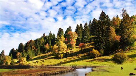 Green Red Leafed Trees On Green Grass Covered Slope And Lake Under Blue