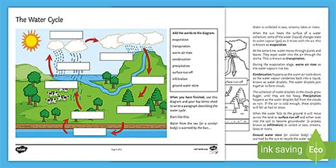 Explain The Water Cycle In Your Own Words Worksheet Twinkl