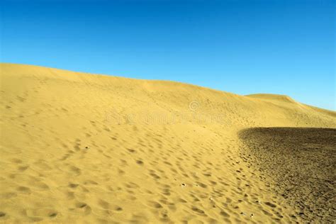 Beautiful Yellow Sand Dunes Against The Blue Sky Natural Background
