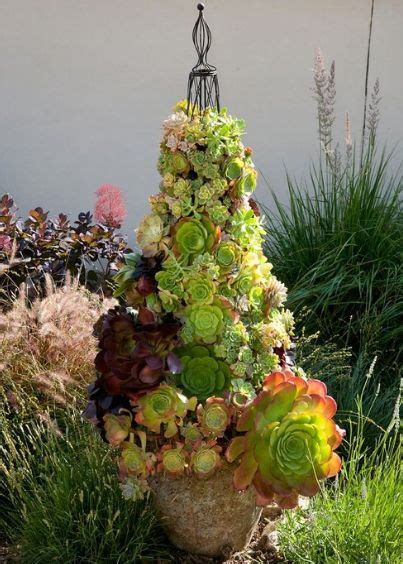 What A Glorious Succulent Tower Grace Design Landscaping Succulent