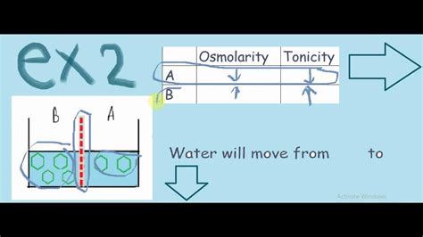 Osmolarity Vs Tonicity شرح بالعربي Youtube